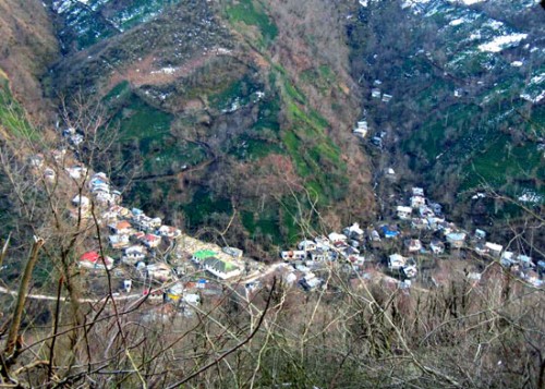 گیلان-شفت-توسه سیاهمزگی