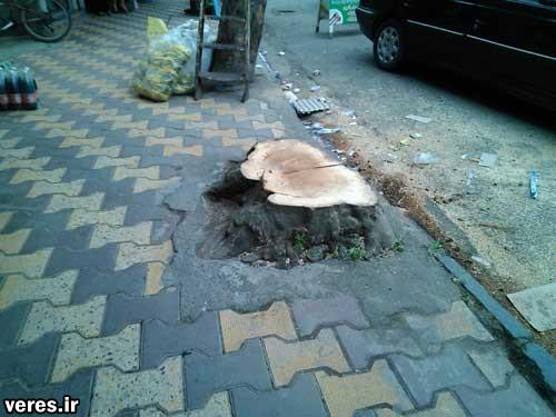 Picture-008