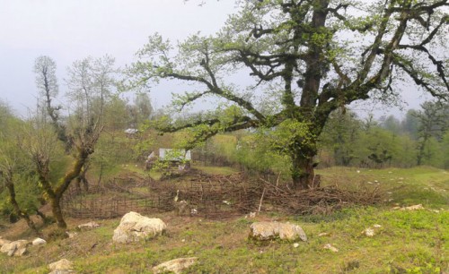 زیبایی های جاده قدیمی و متروکه گنجار به امام زاده اسحاق