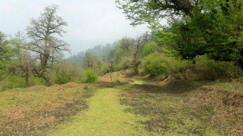 زیبایی های جاده قدیمی و متروکه گنجار به امام زاده اسحاق