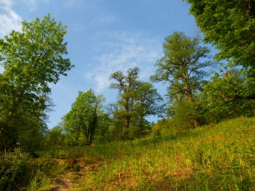 زیبایی های مسیر روستای مزگده تا ییلاق سوته شهرستان شفت