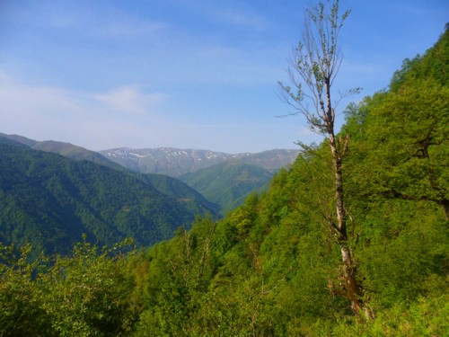 زیبایی های مسیر روستای مزگده تا ییلاق سوته شهرستان شفت