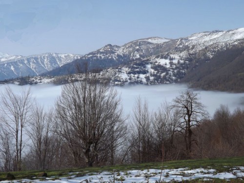 بر فراز ابرها در کوهستان های شفت