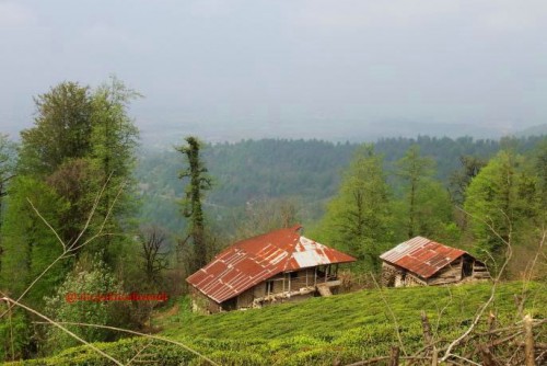 زیبایی های جاده قدیمی و متروکه گنجار به امام زاده اسحاق