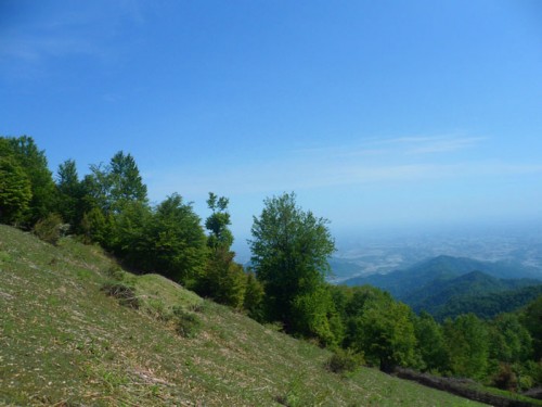 زیبایی های مسیر روستای مزگده تا ییلاق سوته شهرستان شفت