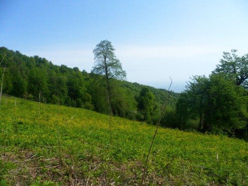 زیبایی های مسیر روستای مزگده تا ییلاق سوته شهرستان شفت