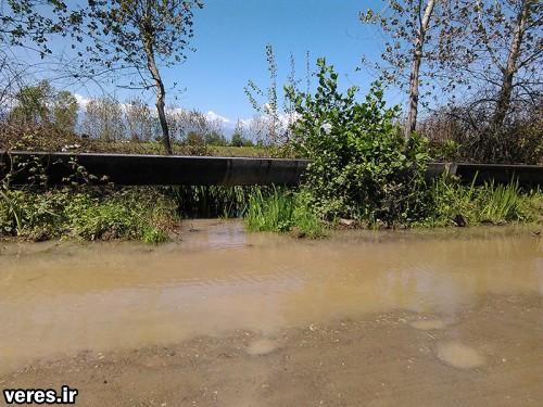 عدم لایروبی کانال آبرسانی و آبگرفتگی یک روستا در شفت