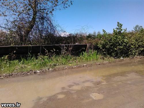 عدم لایروبی کانال آبرسانی و آبگرفتگی یک روستا در شفت