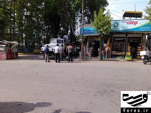 قطع چندین درخت چنار در شهر شفت 