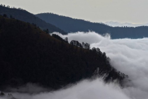 طبیعت زیبای شهرستان شفت/ استان گیلا