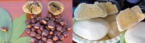 شاه-بلوط-ویسرود_پنیر-سیاهمزگی
