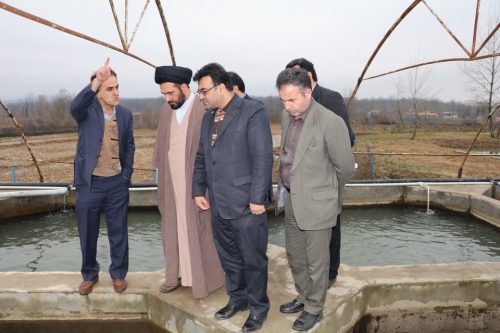 بازدید فرماندار شفت از مزرعه پرورش ماهیان خاویاری در گیلده