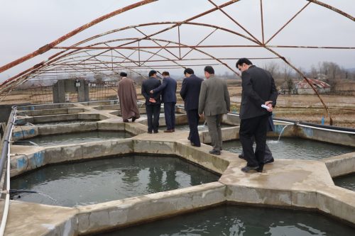 بازدید فرماندار شفت از مزرعه پرورش ماهیان خاویاری در گیلده