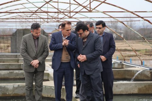 بازدید فرماندار شفت از مزرعه پرورش ماهیان خاویاری در گیلده