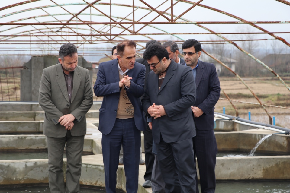 بازدید فرماندار شفت از مزرعه پرورش ماهیان خاویاری در گیلده