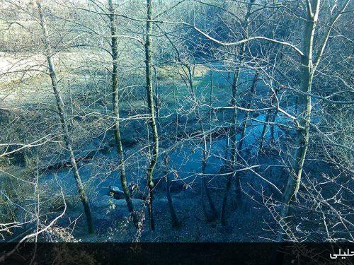 کمسار بزرگ- شهرستان شفت