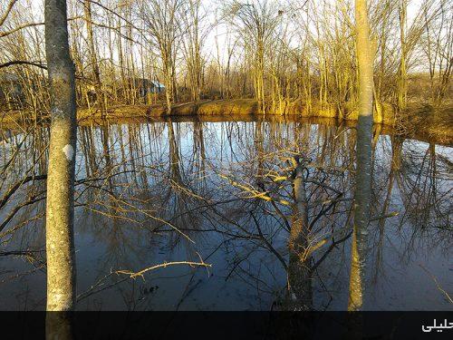 کمسار بزرگ- شهرستان شفت