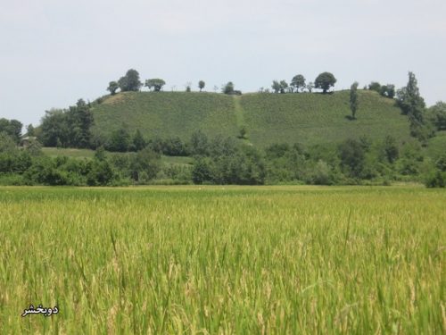 گیلان-شفت-دوبخشر-کولک