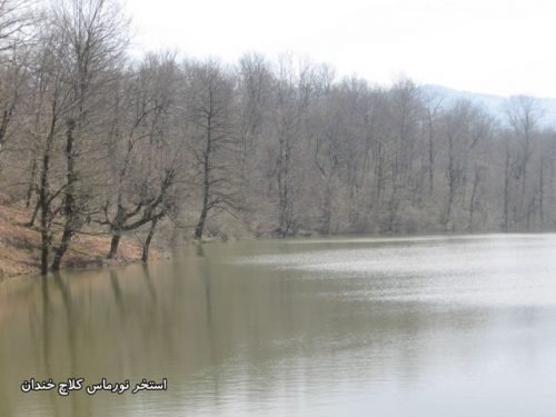 گیلان-شفت-کلاچ خندان-استخر نورماس