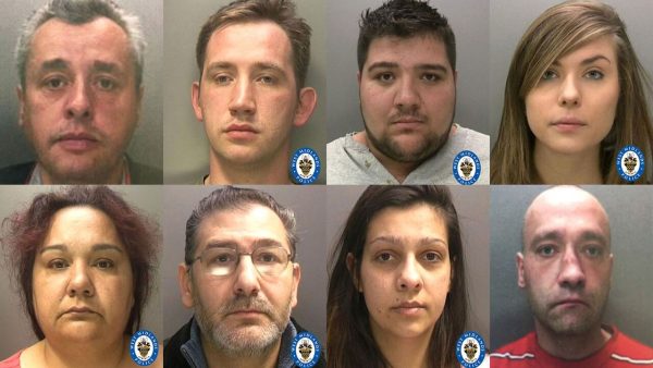 برداری مدرن