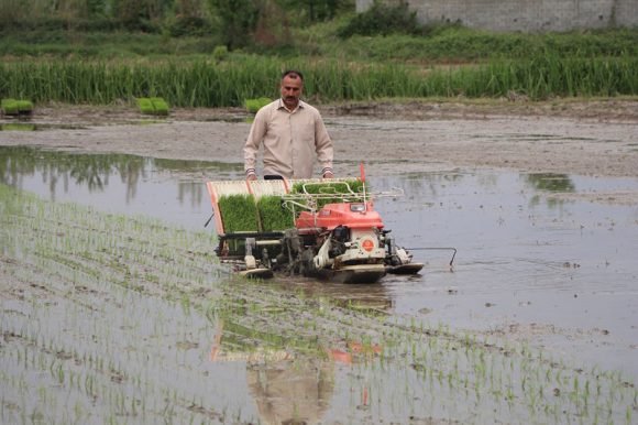 دستگاه نشای برنج
