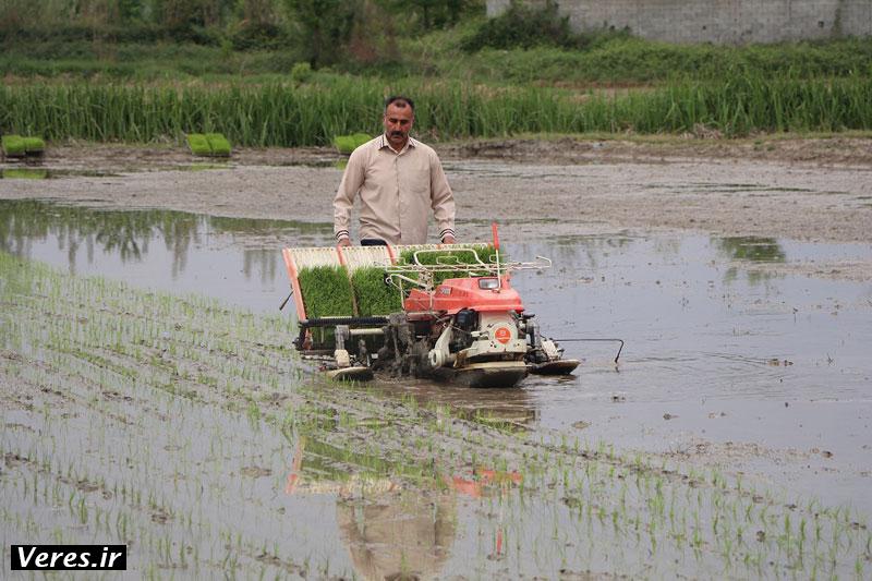 دستگاه نشای برنج