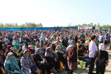 جشنواره گلاب‌گیری در «گیلده» شهرستان شفت برگزار شد