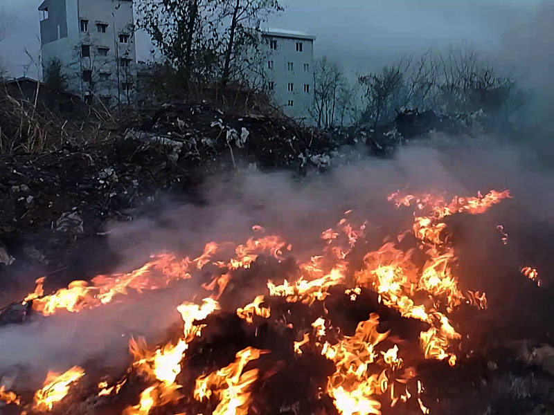 فیلم | امحای فاجعه بار زباله های عفونی و بیمارستانی در شهر شفت