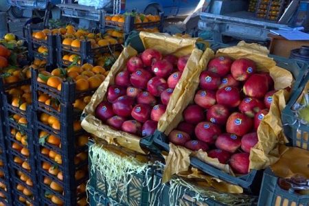 آغاز توزیع میوه و خرما در ۵۱ نقطه استان گیلان