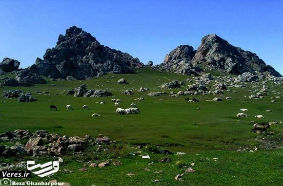 ییلاق دایله سر