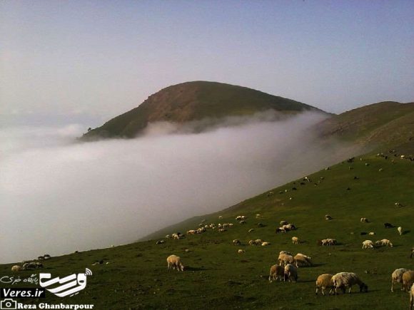 ییلاق دایله سر