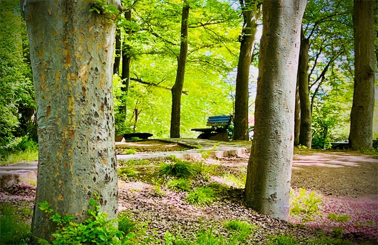 بوستان مفاخر رشت