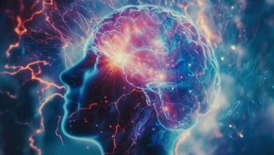 مغز و ذهن انسان