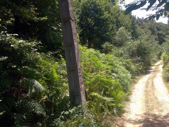 مسجد رودبارسرا