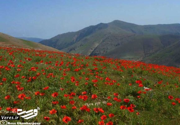 ییلاق شمر چال