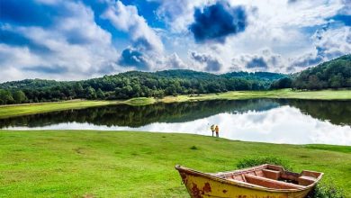 سقالکسار رشت