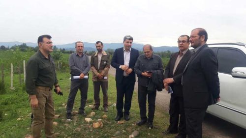 حسن وحید سرپرست سازمان منابع طبیعی وآبخیزداری کشور
