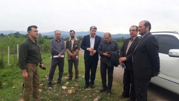 حسن وحید سرپرست سازمان منابع طبیعی وآبخیزداری کشور