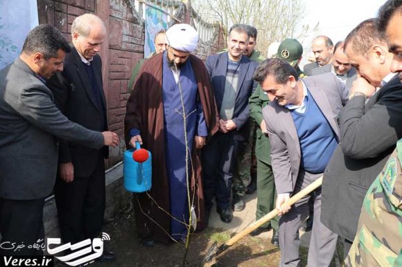 روز درختکاری در شفت