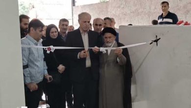 سورتینگ برنج در شفت