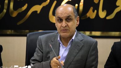 هادی حق شناس