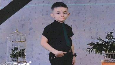 ایلیا زادحسین